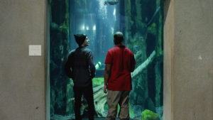 Two people observing fish at an aquarium